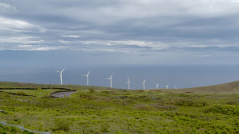 A view of the ocean and wind turbines on the Lahaina Pali Trail