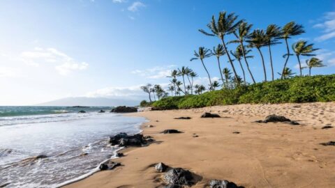 A beach on Kauai