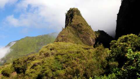 The Iao Needle, a large rock formation covered with lush vegetation on Maui